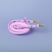 Load image into Gallery viewer, Tether n' Train 6ft Leash