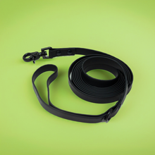 Load image into Gallery viewer, Sniff n' Stroll 10ft Leash