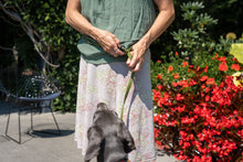 Load and play video in Gallery viewer, Tether n' Train 6ft Leash