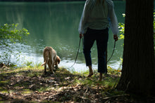 Load and play video in Gallery viewer, Sniff n' Stroll 10ft Leash