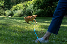 Load and play video in Gallery viewer, Romp n&#39; Play 30ft Leash
