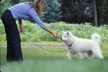 Load image into Gallery viewer, Free n&#39; Fun 30ft/50ft Rope Leash
